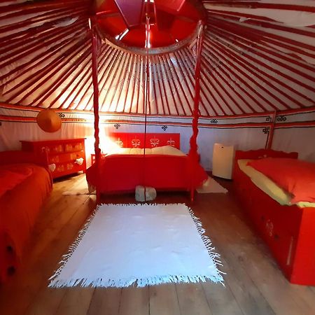 B&B L'Albatros Fayence Exterior photo