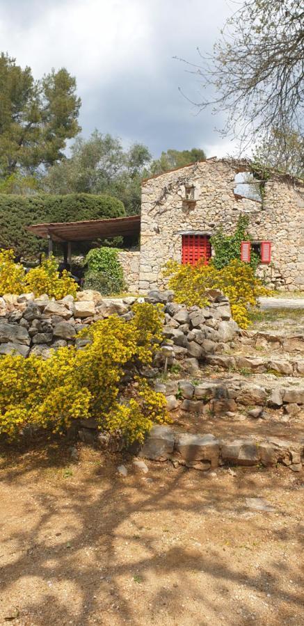 B&B L'Albatros Fayence Exterior photo